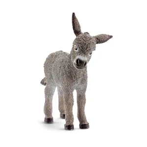 Donkey foal